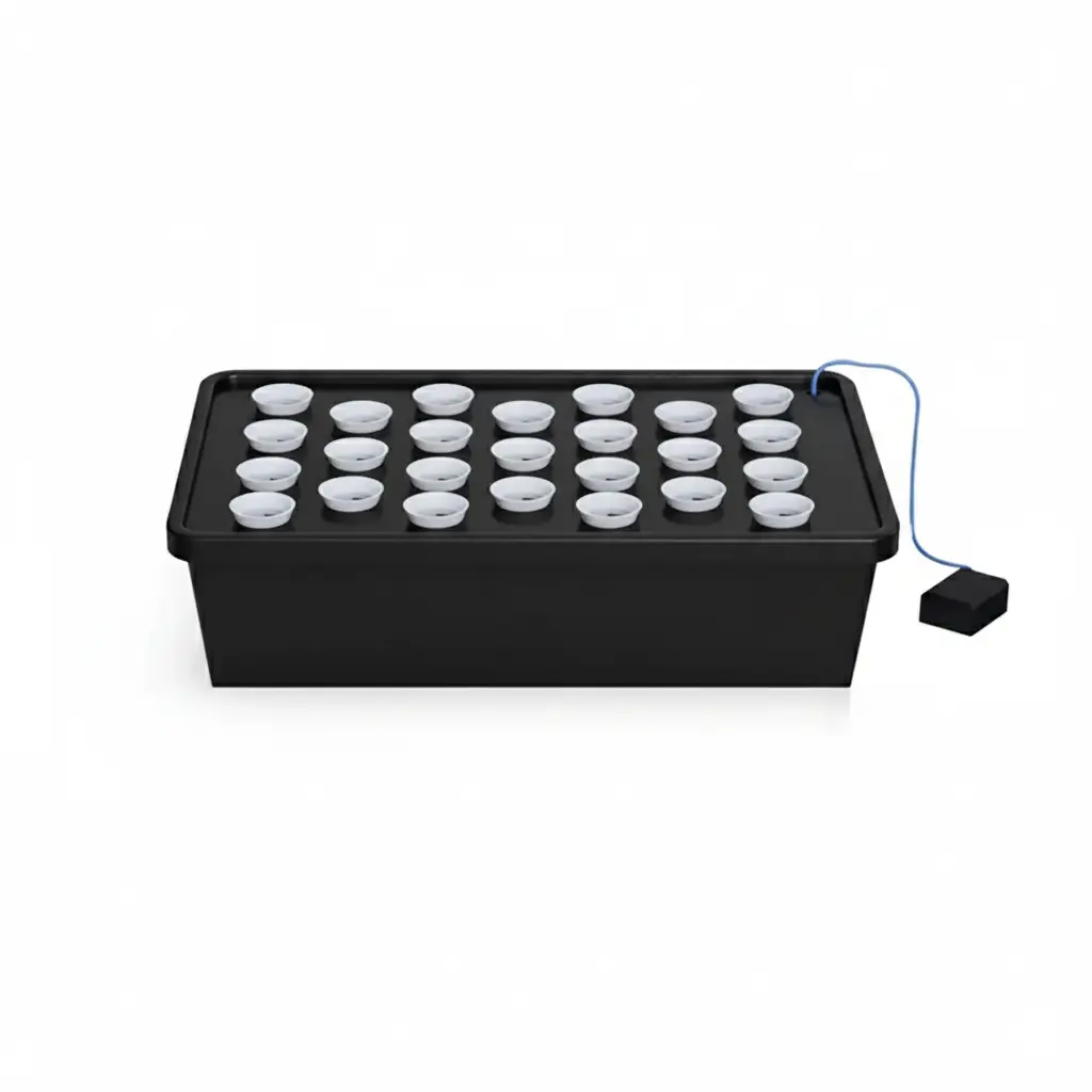 Generated Image November 01, 2025 - 6_11PM.webp