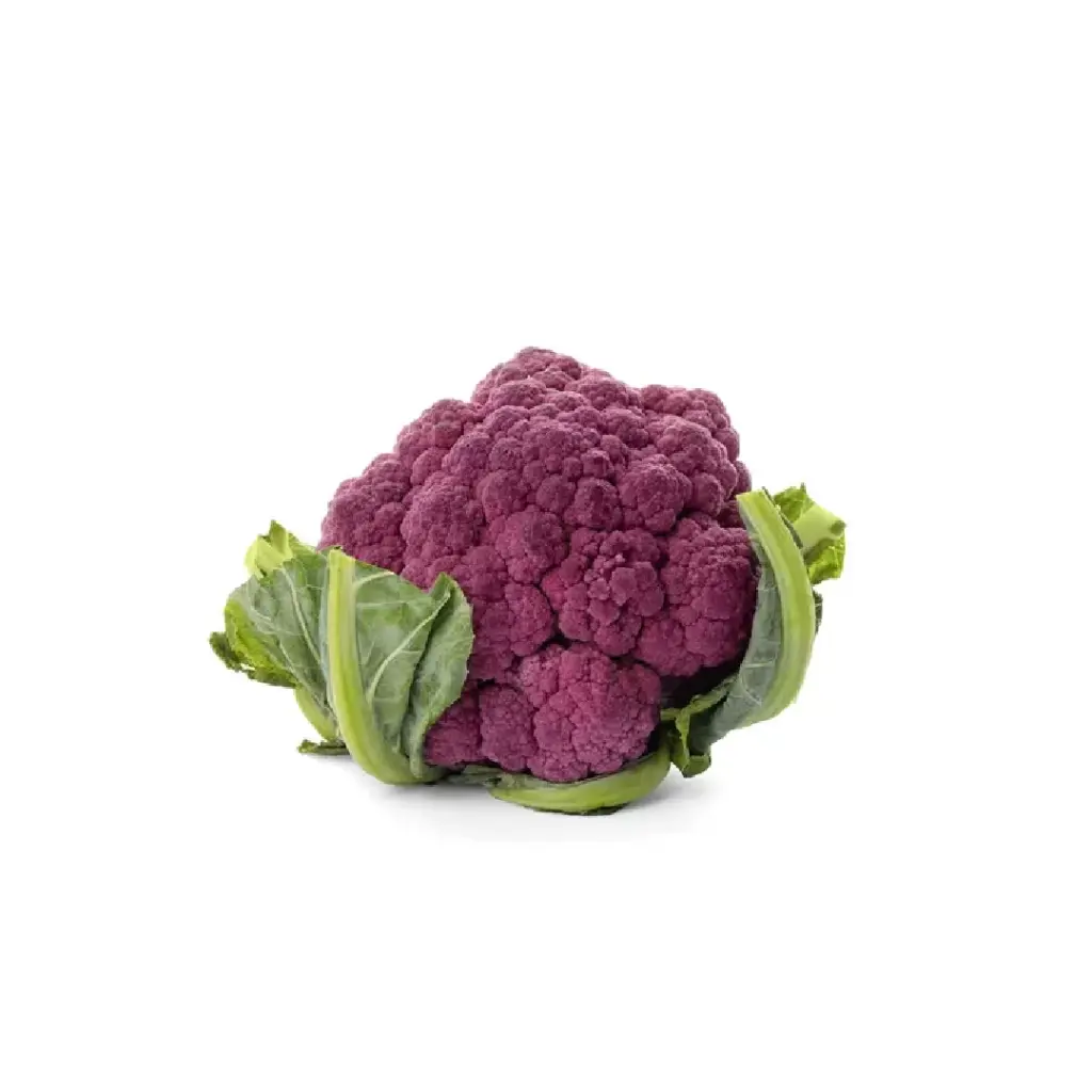 [SEED1-10] Couve-flor Roxa
