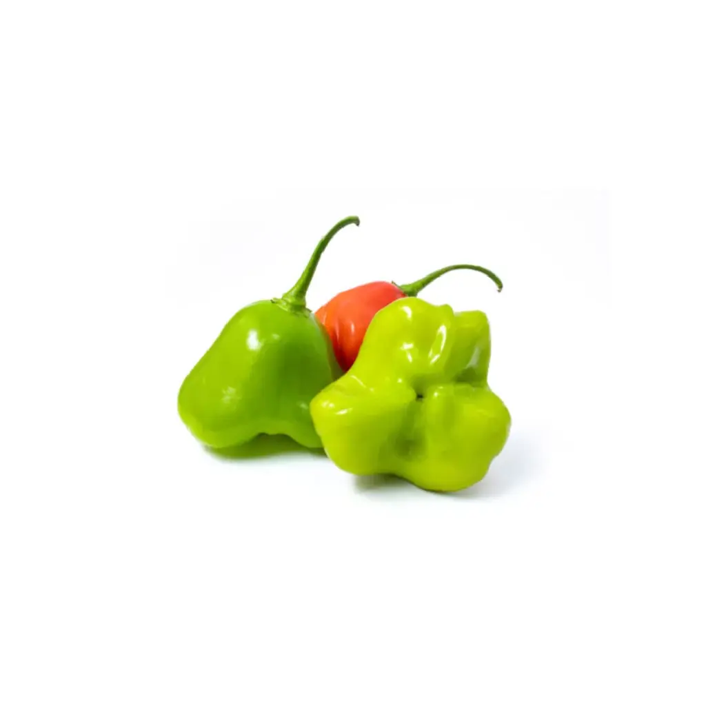 [SEED1-23] Pimenta Cambuci